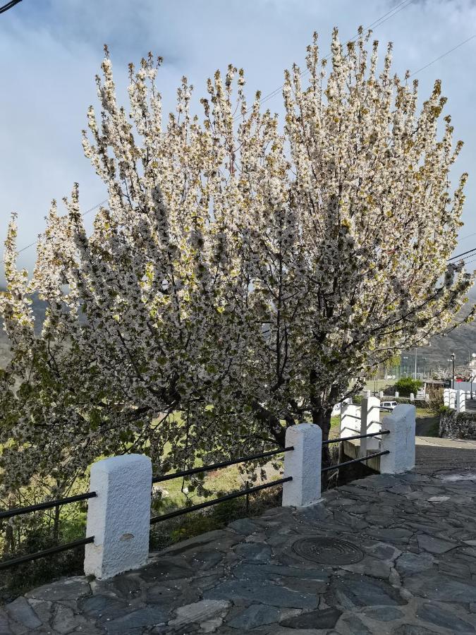 La Locana Leilighet Bubión Eksteriør bilde